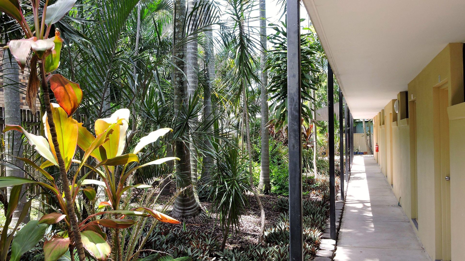 Western Airport 85 Motel 4*