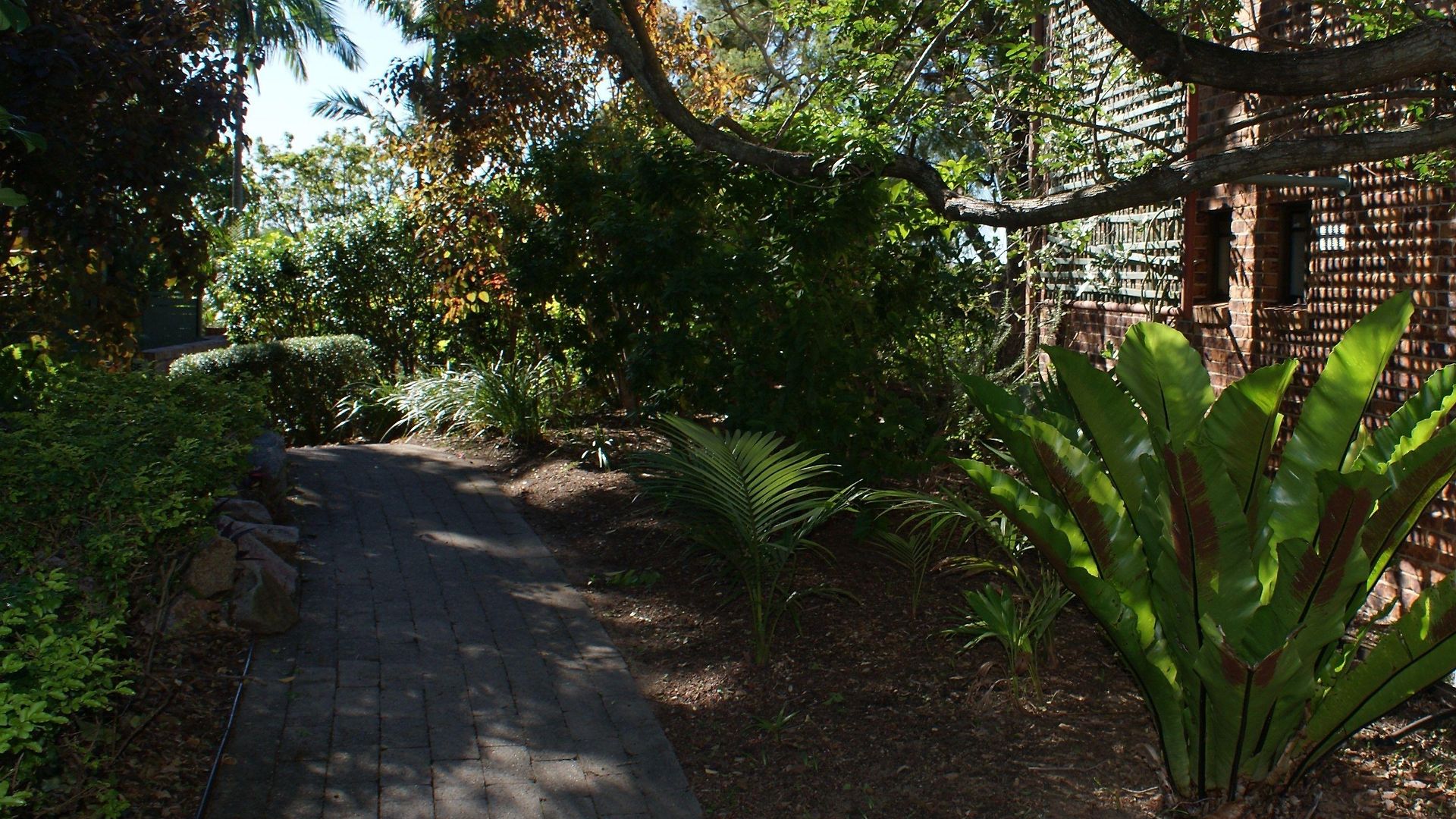 Toowong 3*