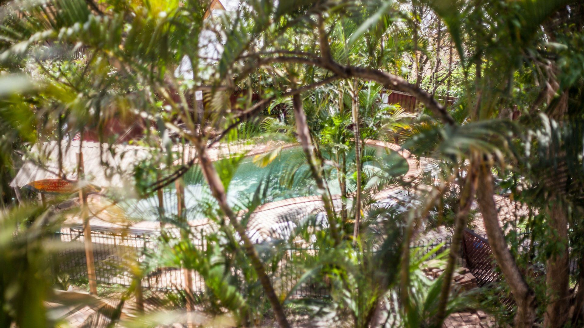 Somewhere To Backpackers *