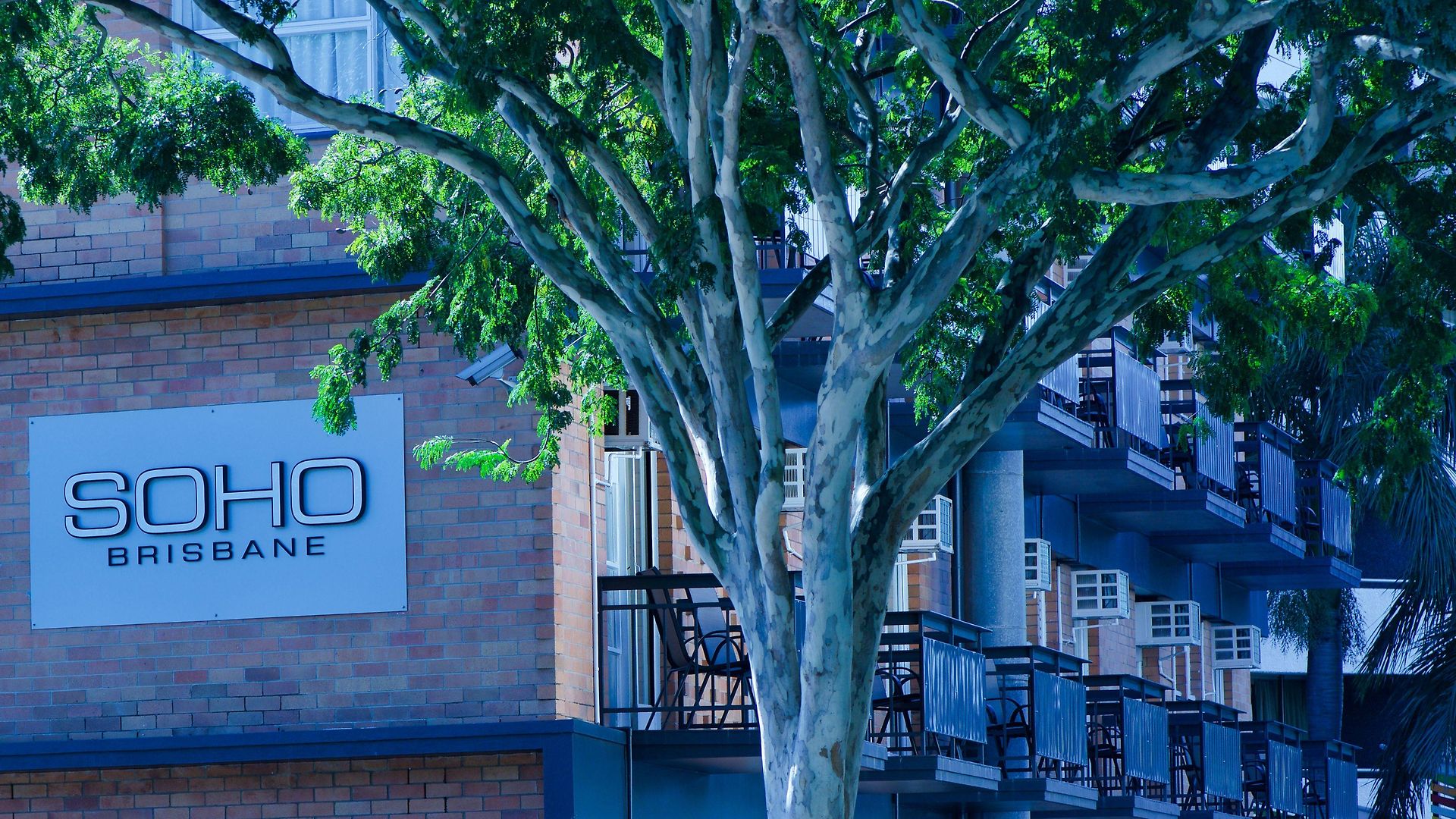Hotel Soho Brisbane
