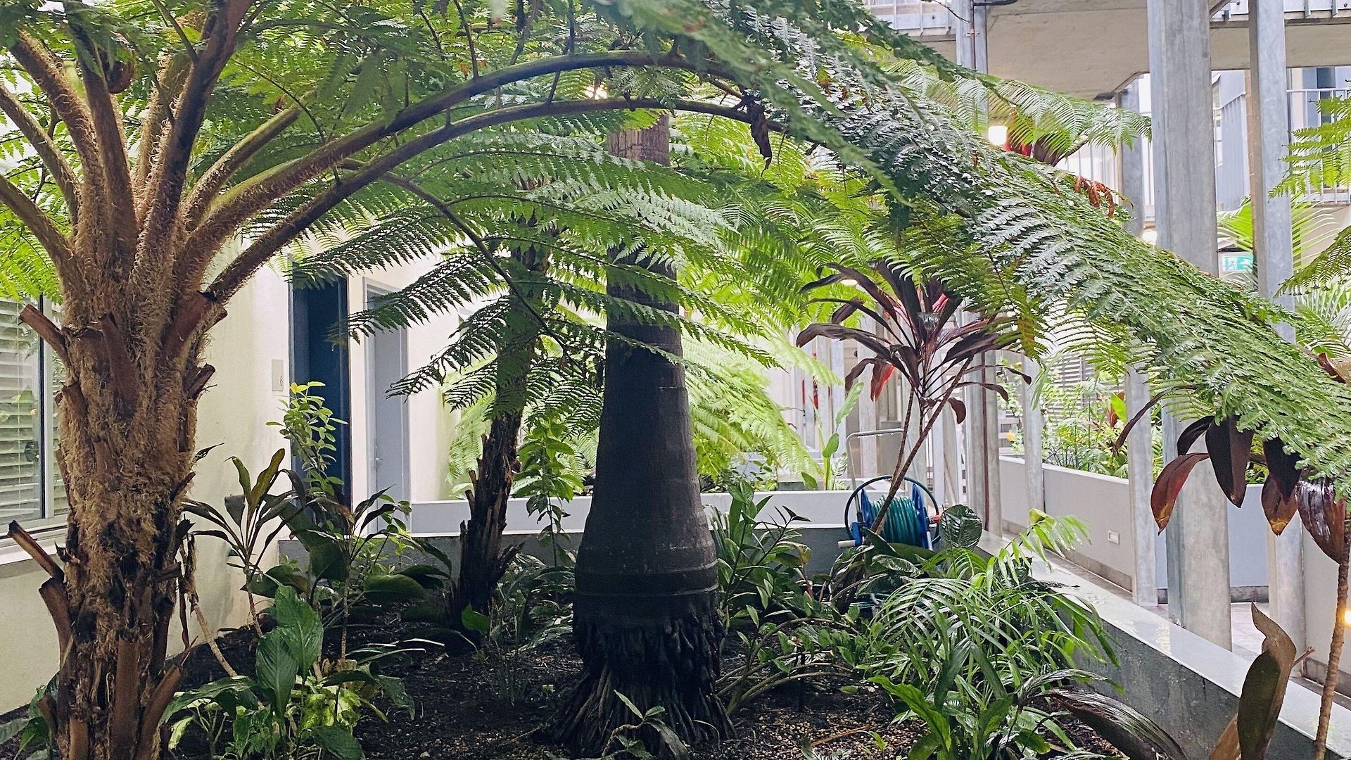 The Miro Aparthotel Brisbane