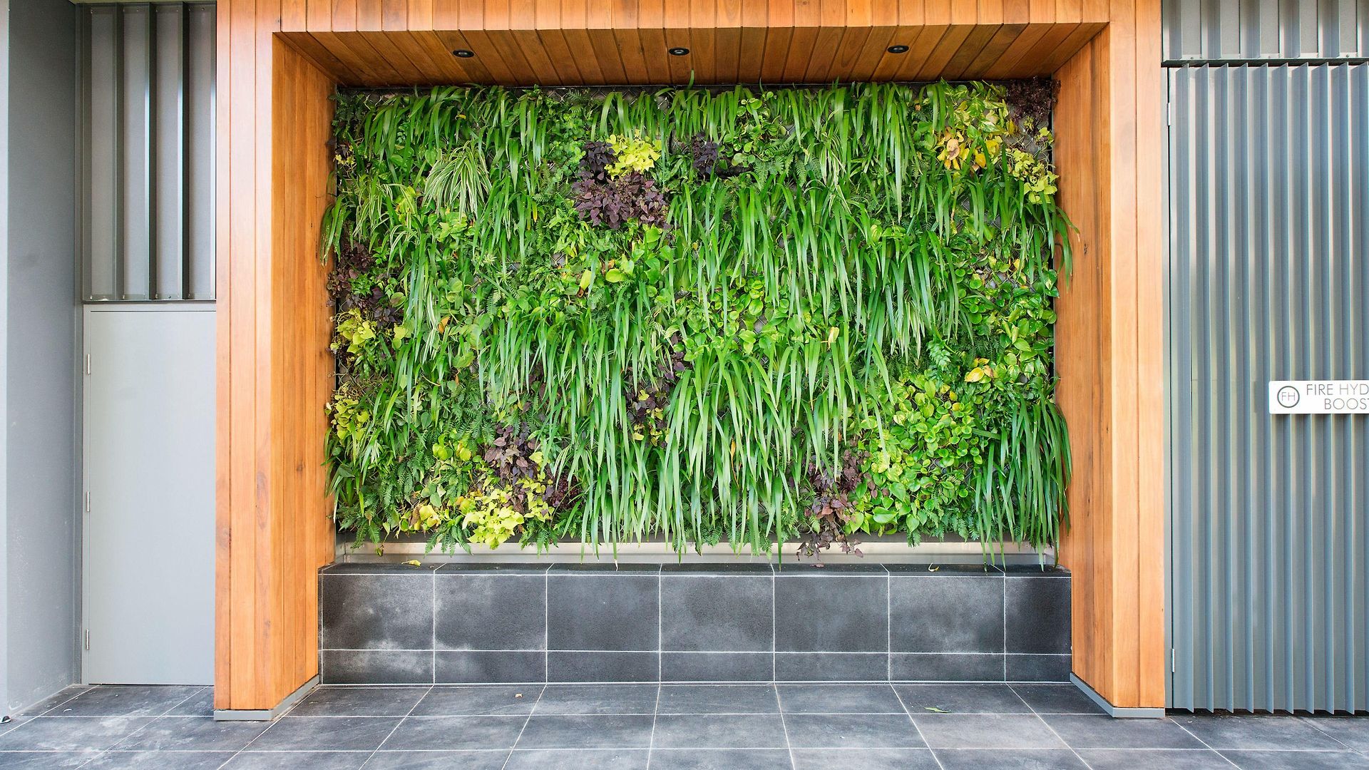 Vine South Brisbane