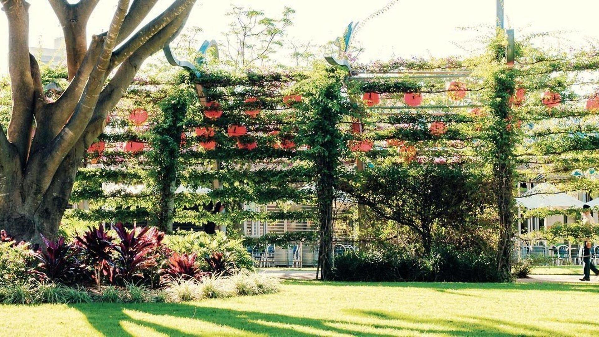 Vine South 5* Brisbane