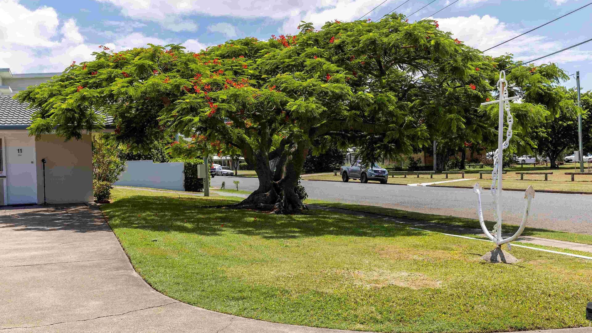 Wynnum Anchor