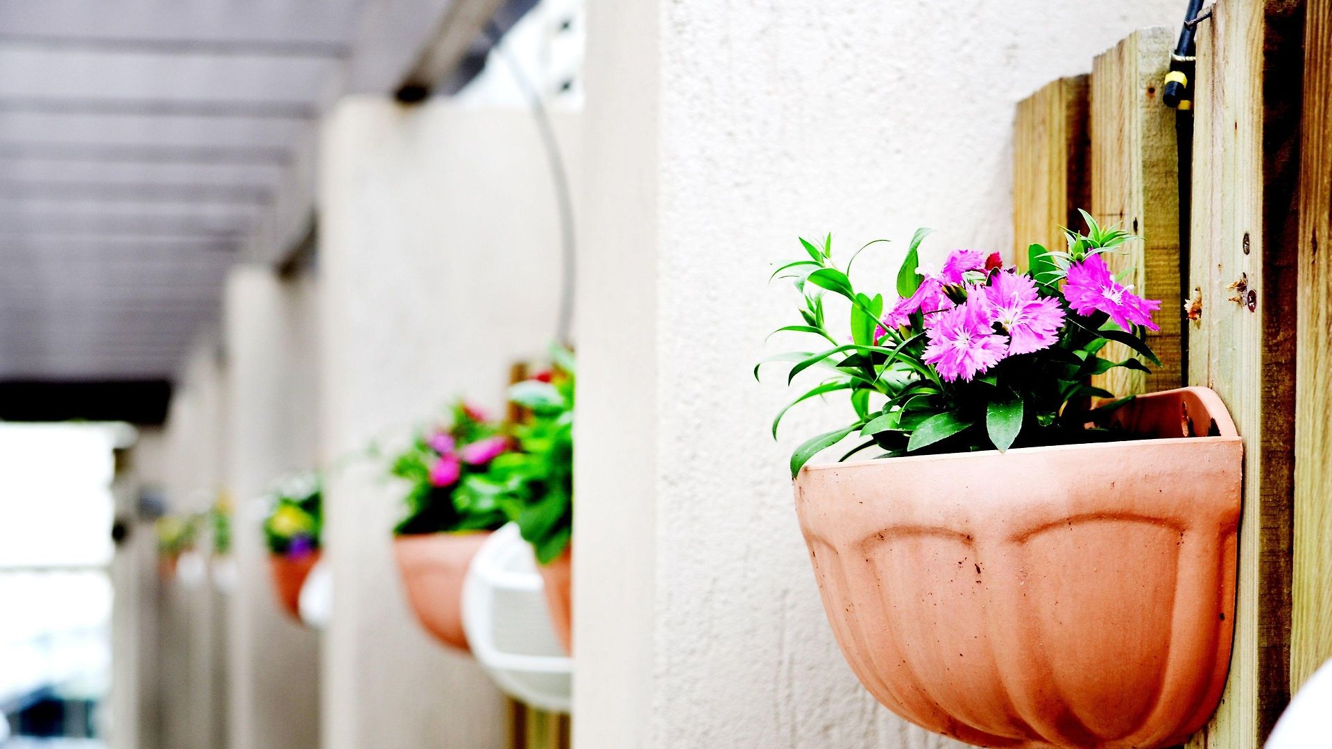 Aparthotel Spring Hill Mews