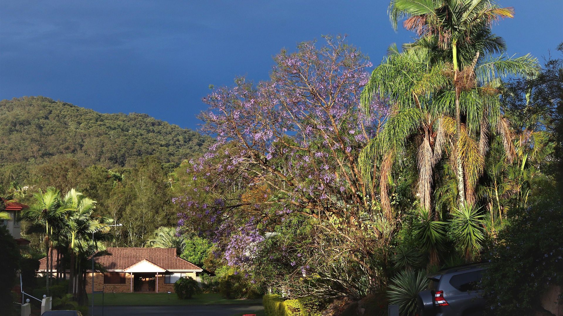 Paperbark Bed & Breakfast 5*