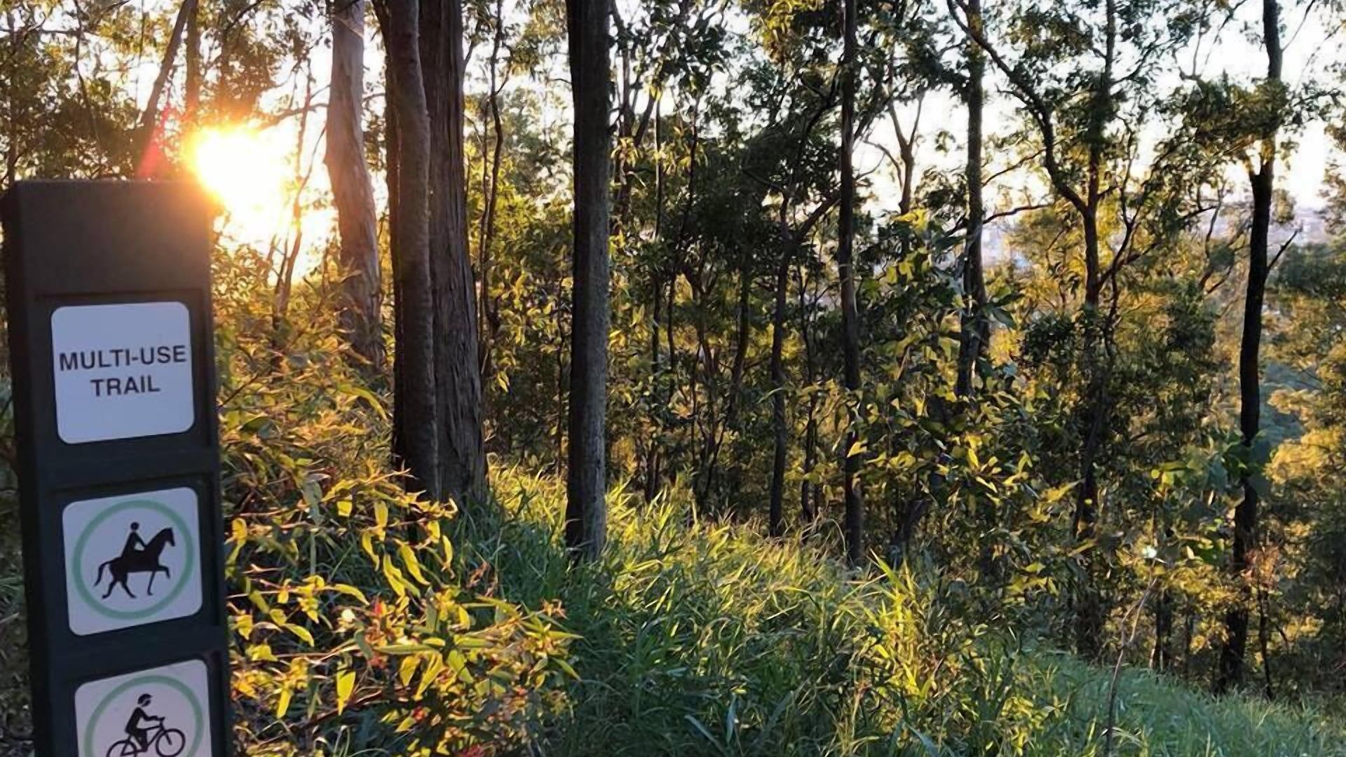 Paperbark Brisbane