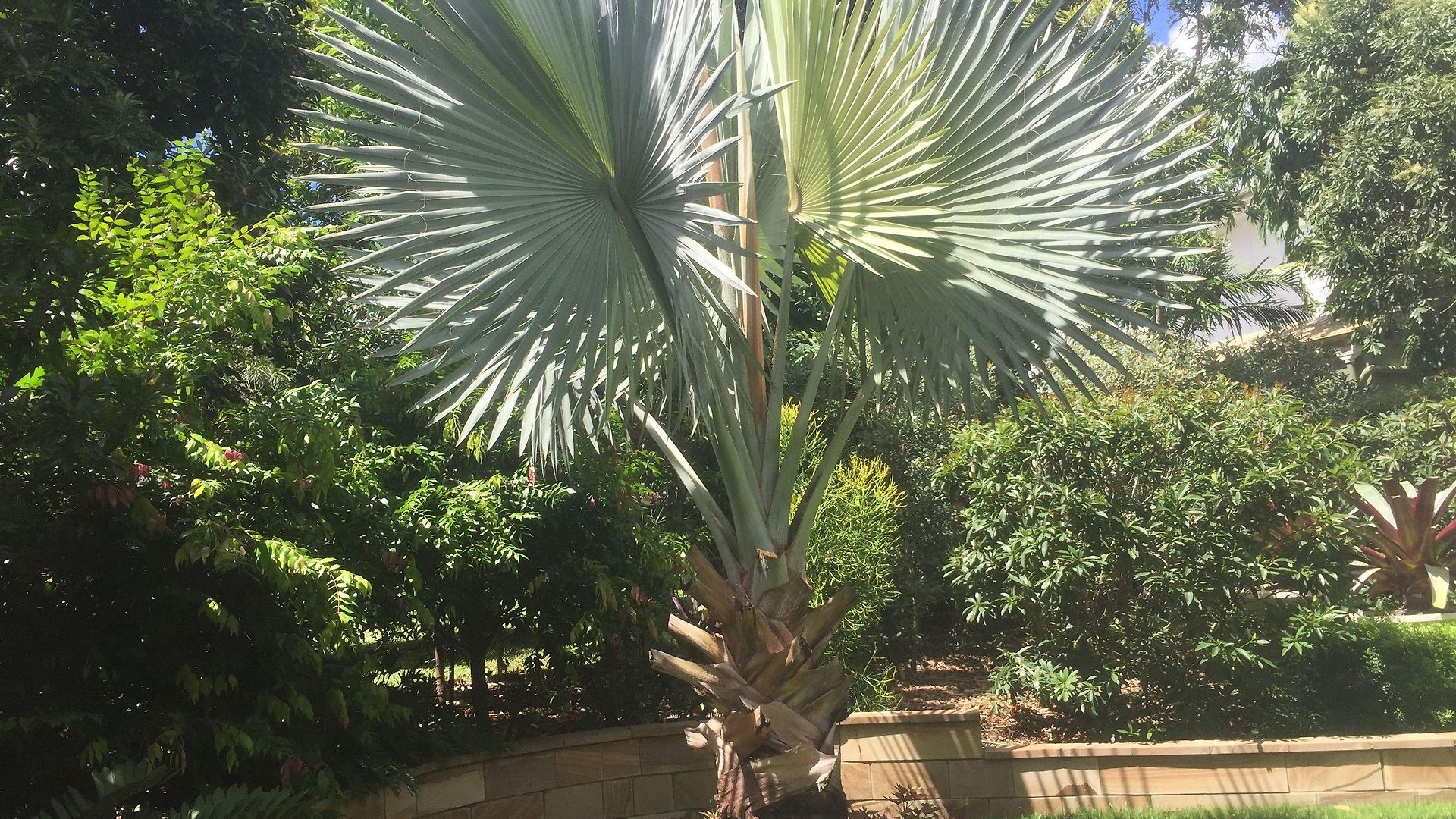 Balmoral Queenslander * Brisbane