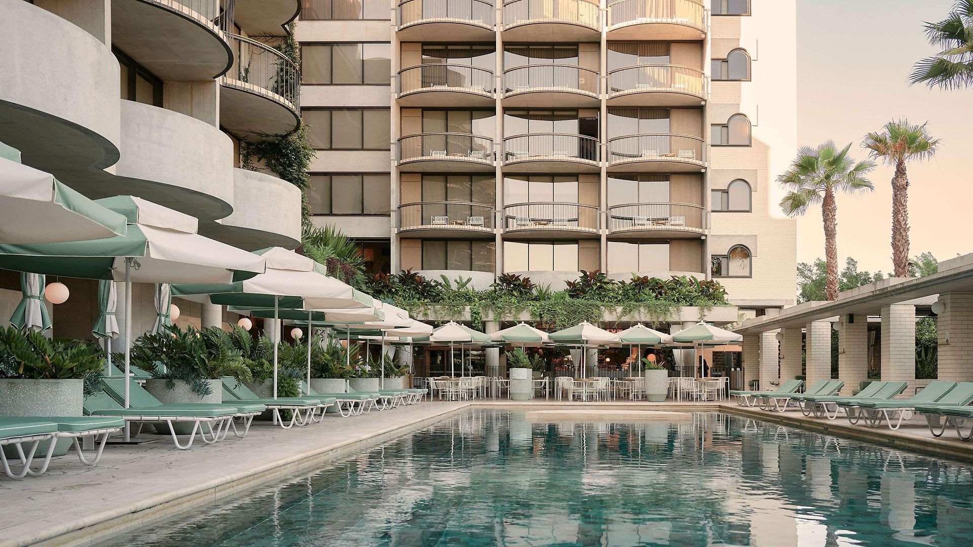 The Calile Hotel