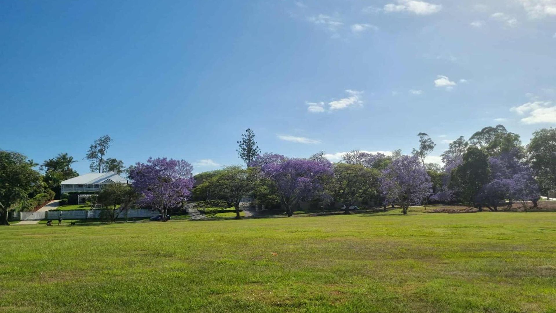 Your Cozy Retreat In Graceville Guest house *