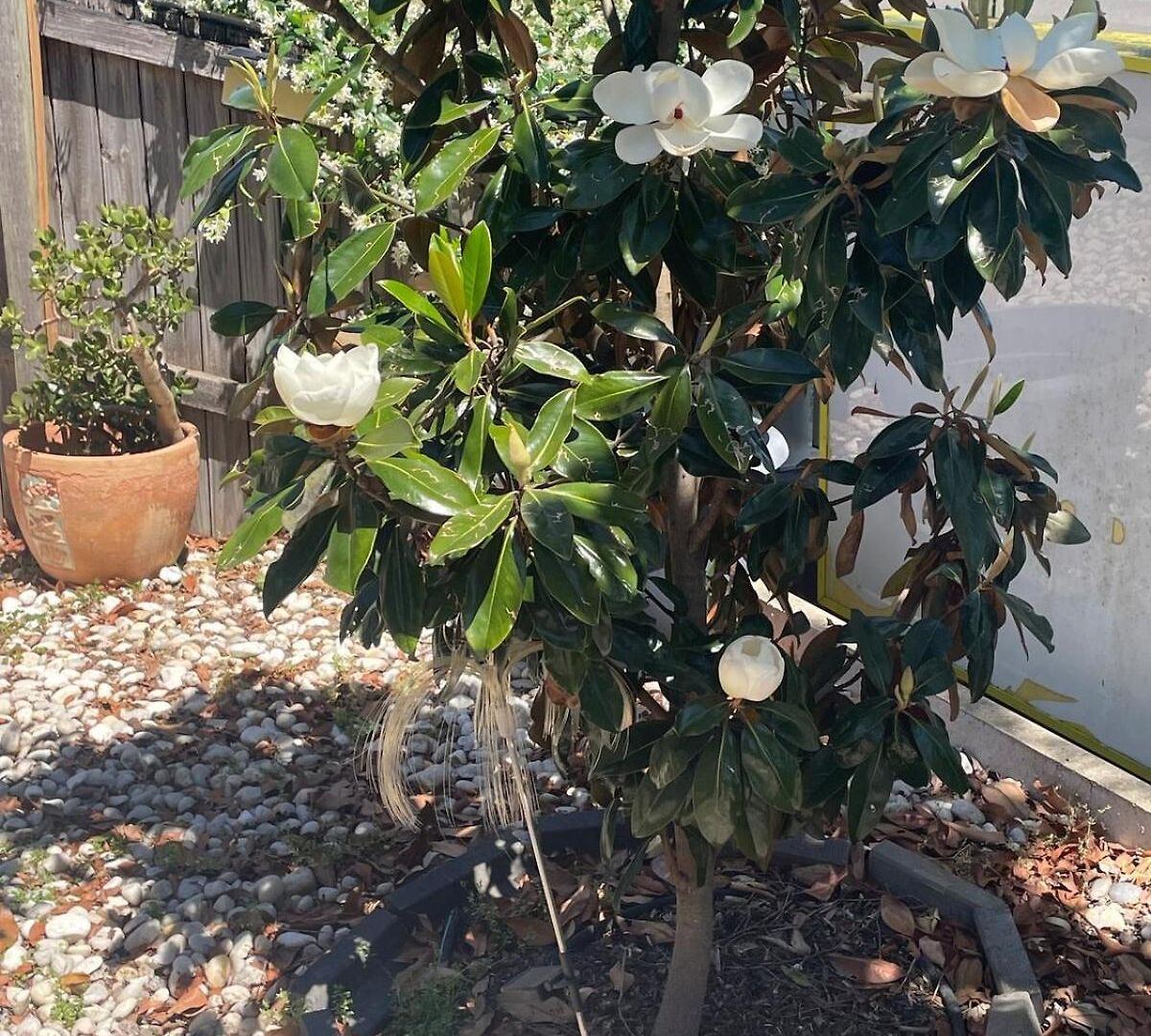 Apartment Salisbury Suburban Escape