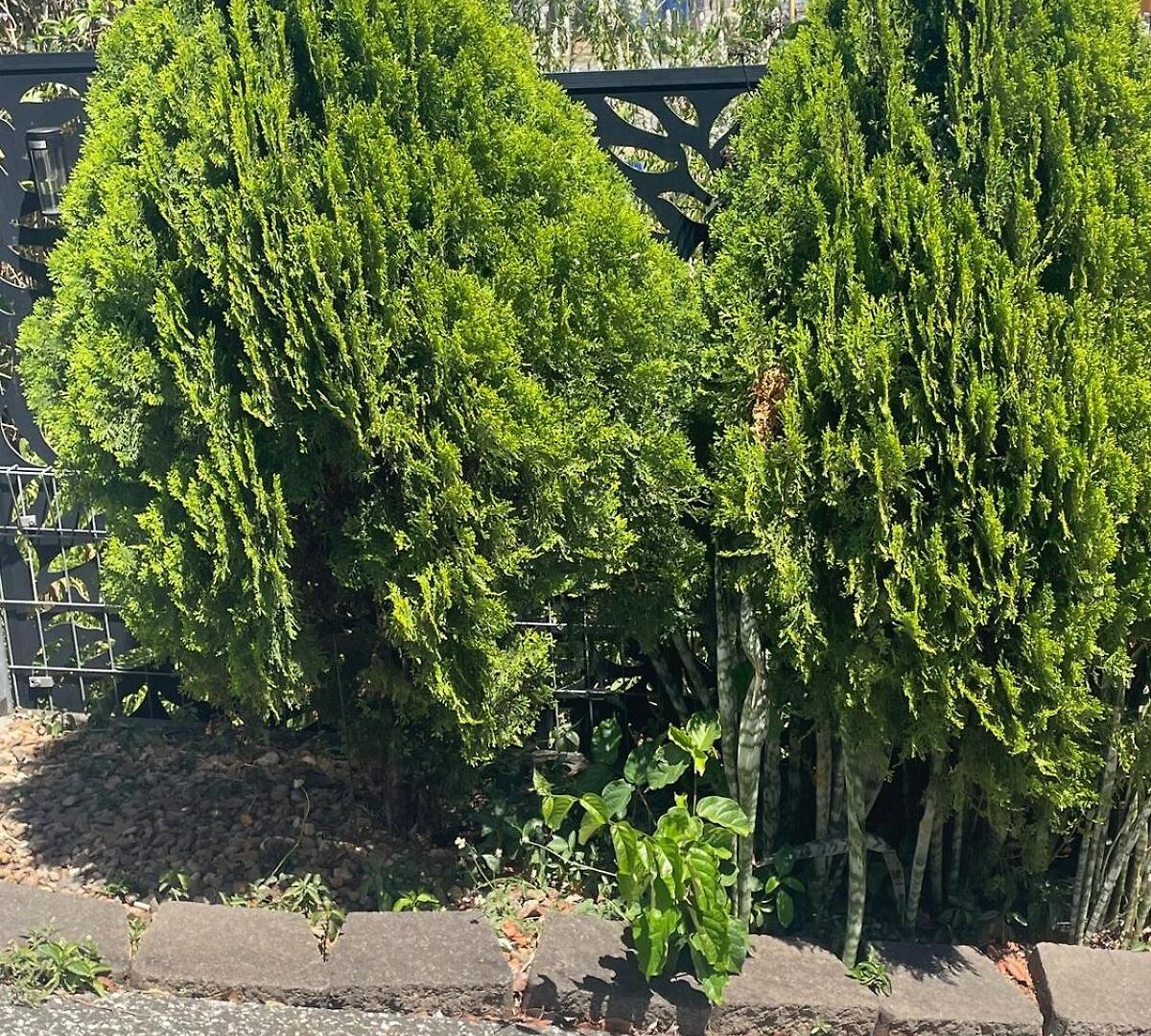 Salisbury Suburban Escape *