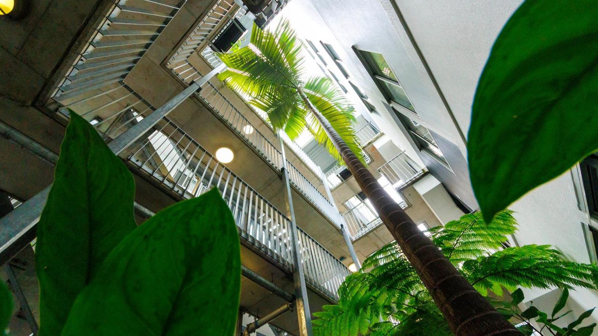 The Miro Aparthotel Brisbane