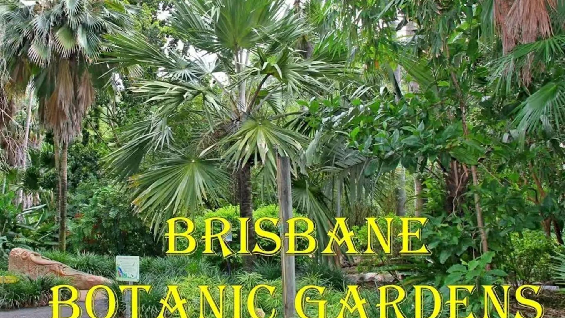 Park Avenue Terrace House 3br - Outdoor, Bbq Holiday home