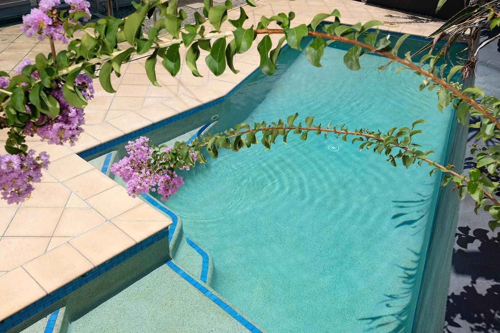 Pet-friendly Haven: Fast Wi-fi & Netflix * Brisbane