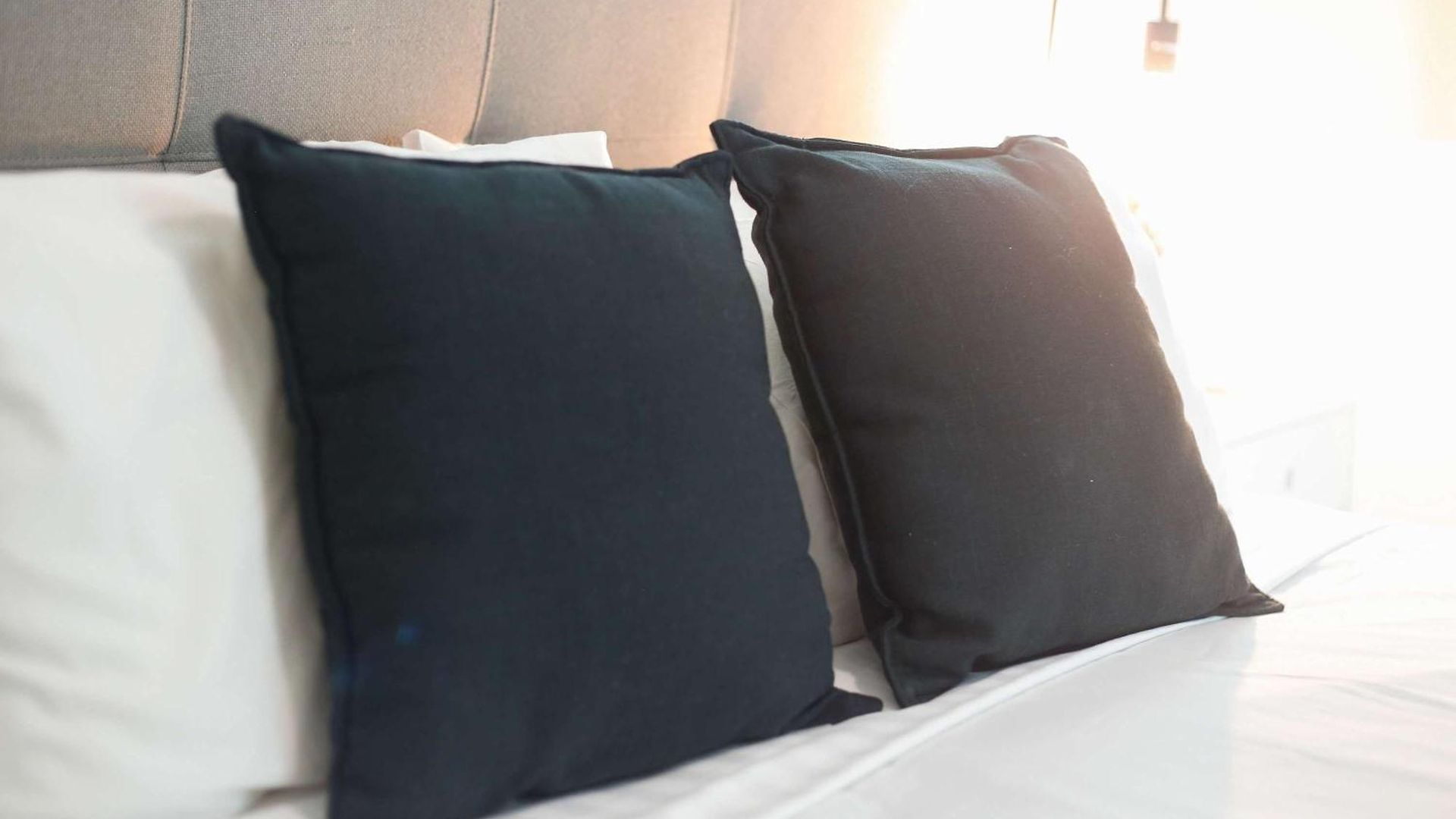 South Stylish 1-bedroom * Brisbane