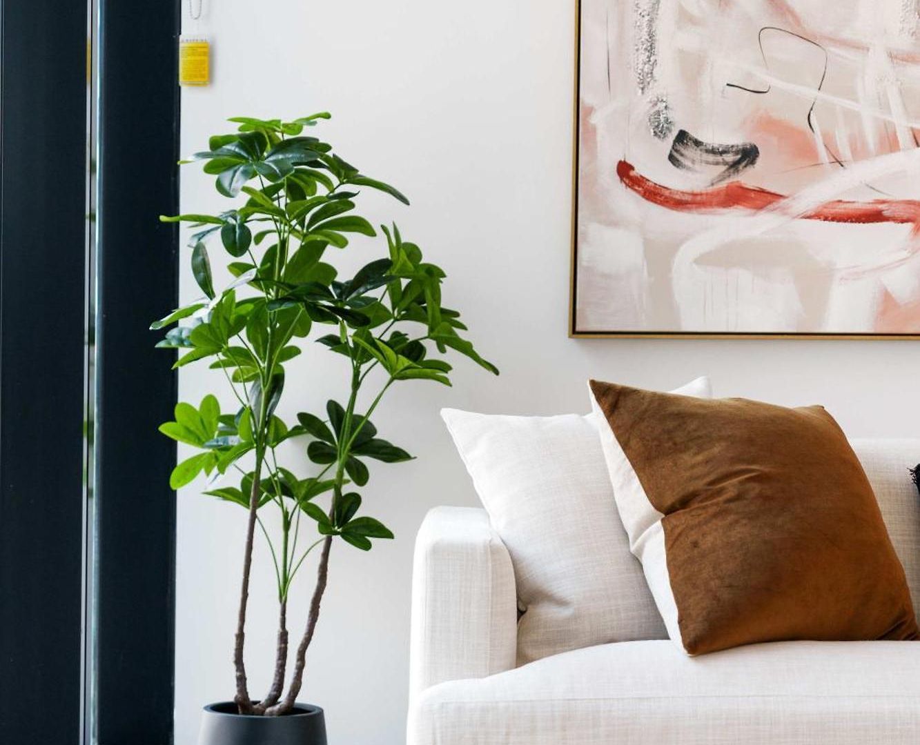 Luxurious 1 Bed Brisbane