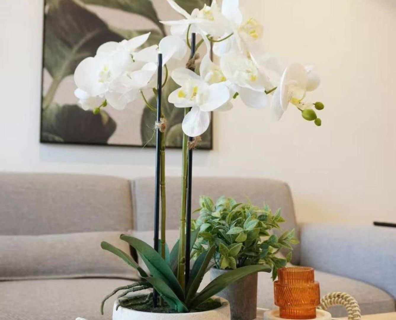 Apartment 1br Premium In Qwr - Level 22 Privately Managed *