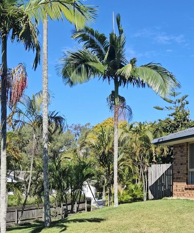 Aztec Adress 133 Beckett Road, Mixed Shared * Brisbane