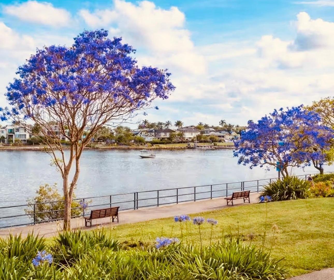 Stylish Newstead With Pool, Gym & Parking Apartment