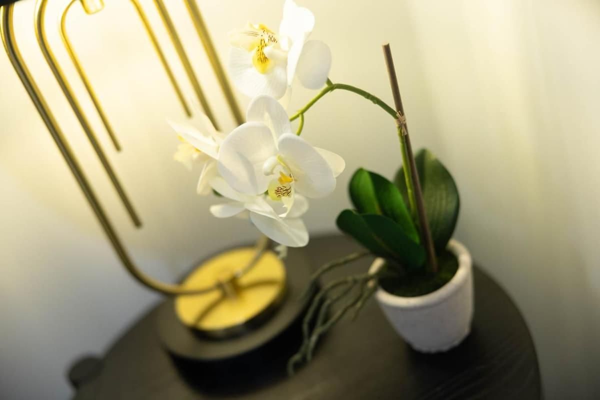Stylish Skytower Cbd Getaway - Skyline Pool, Gym, Fast Wi-fi, River Walk, Botanical Gardens