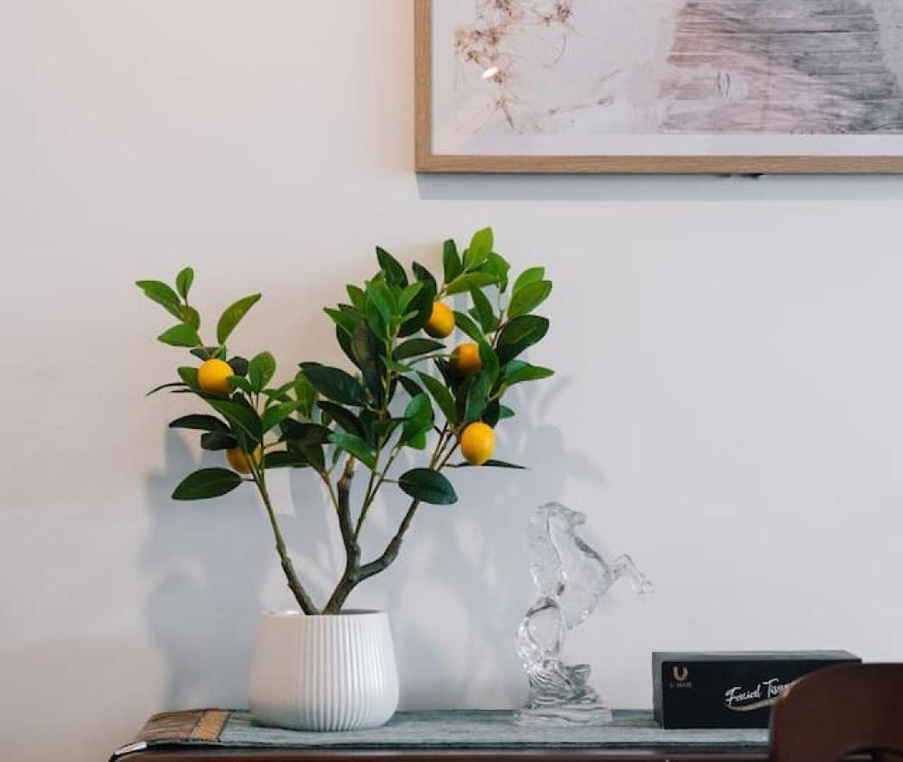 Modern 3br Near Uq, St Lucia * Brisbane