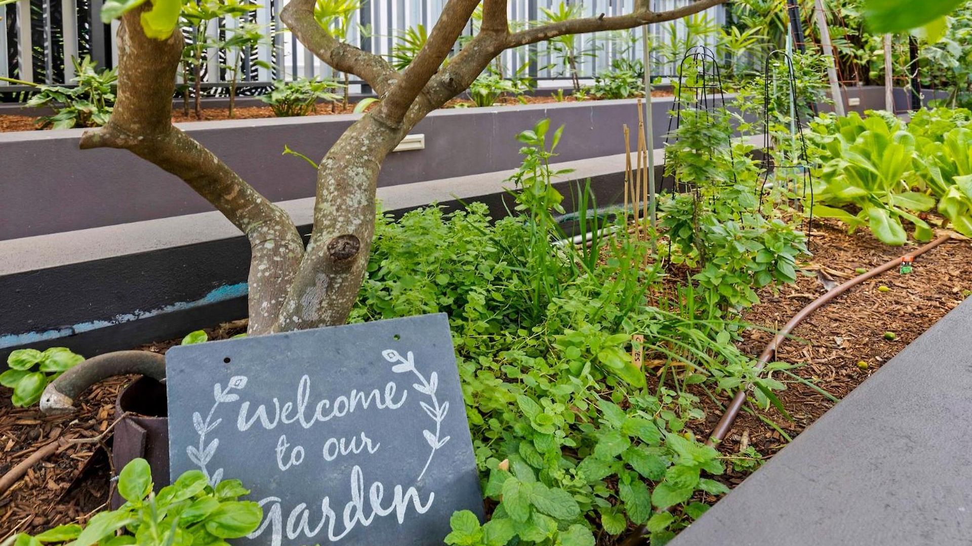 Park View Retreat -pool - 2 Min Walk Stones Corner Apartment Brisbane