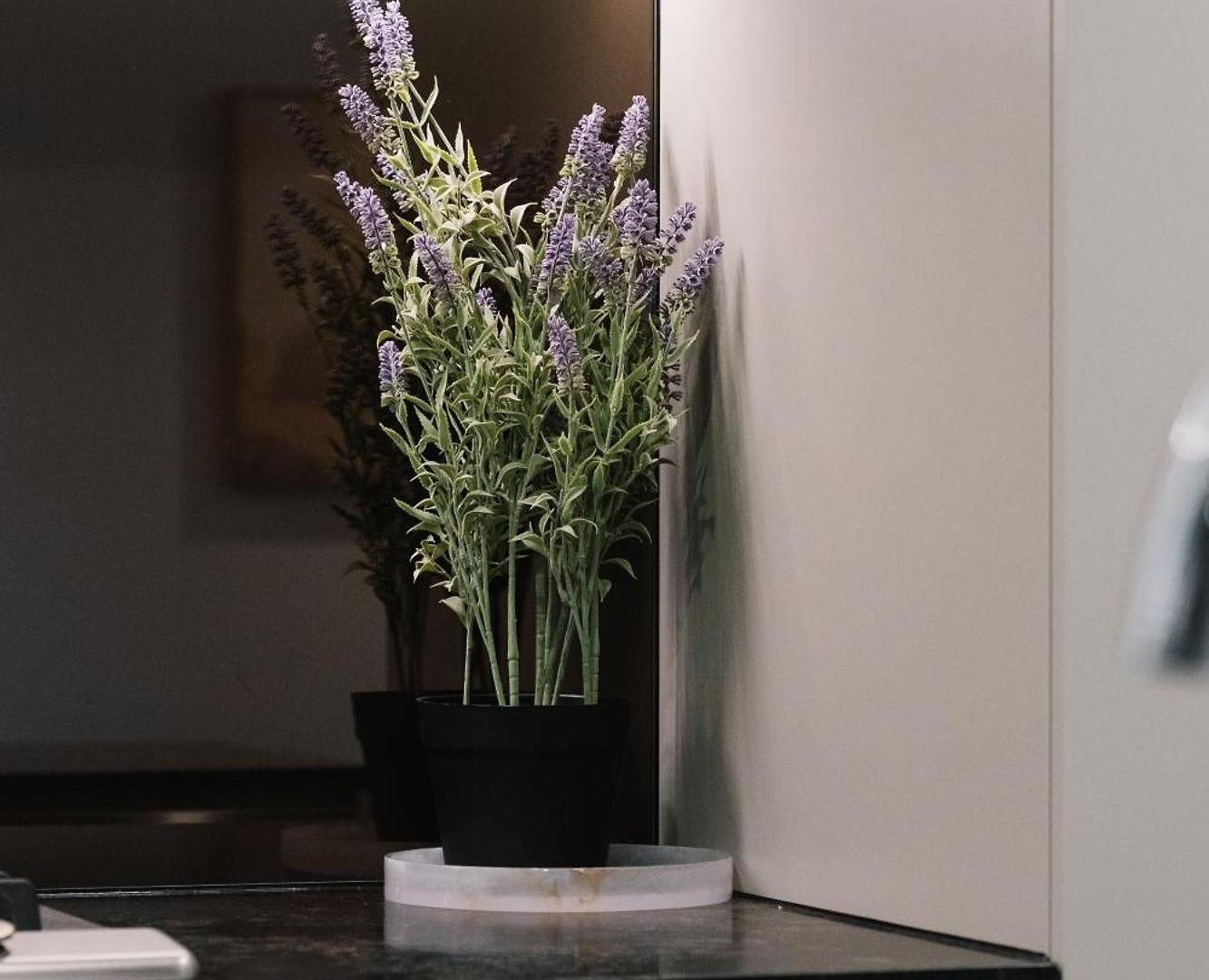 Cassa One - The One Managed By The Cassa Apartment Brisbane