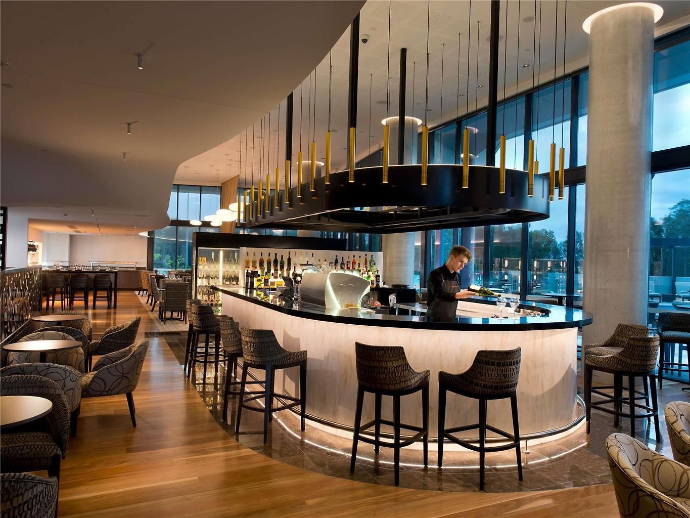 Hotel Pullman Airport