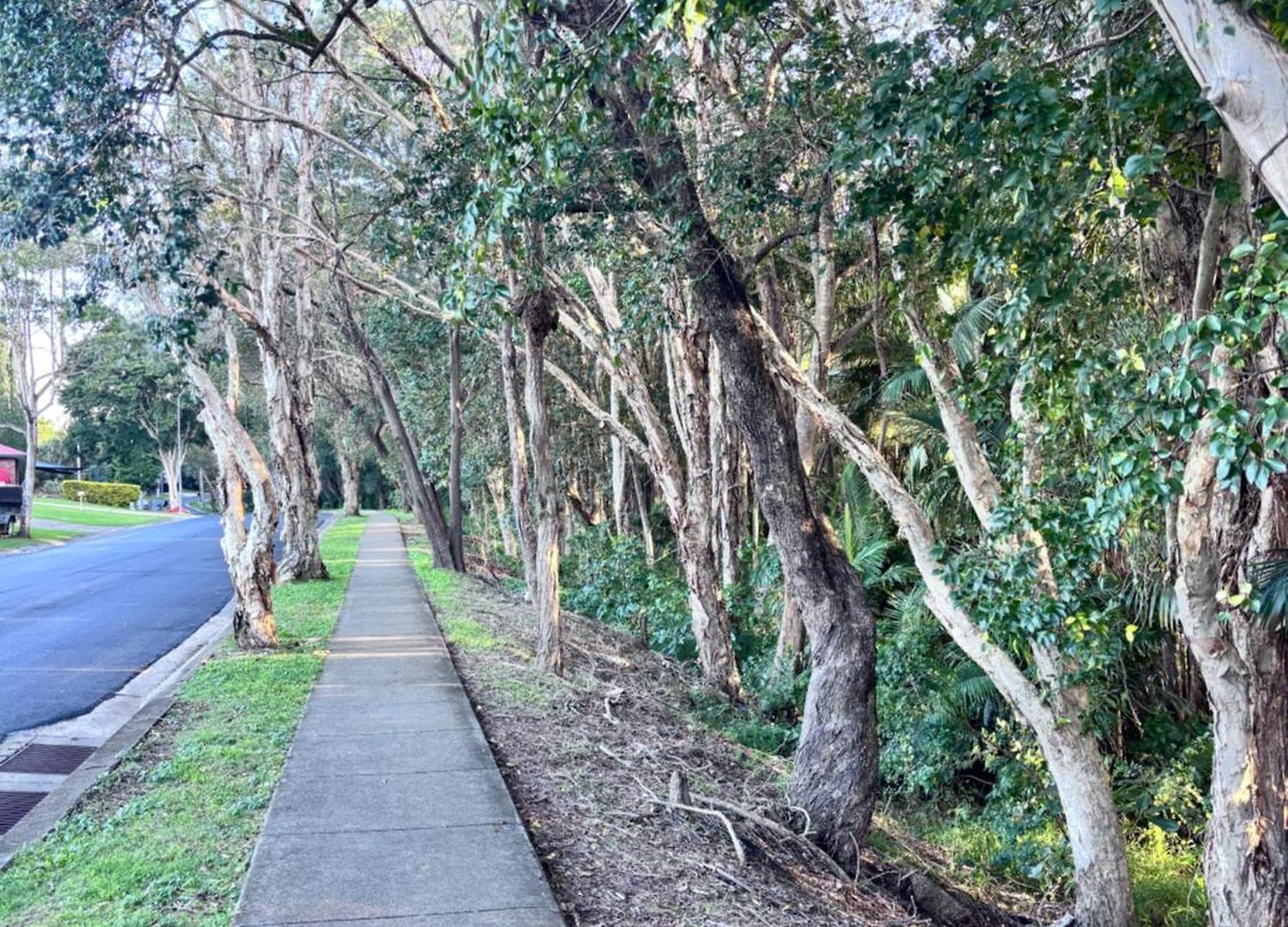Garden Retreat House - Super Quite And Peace 闹中带静的理想住房 *