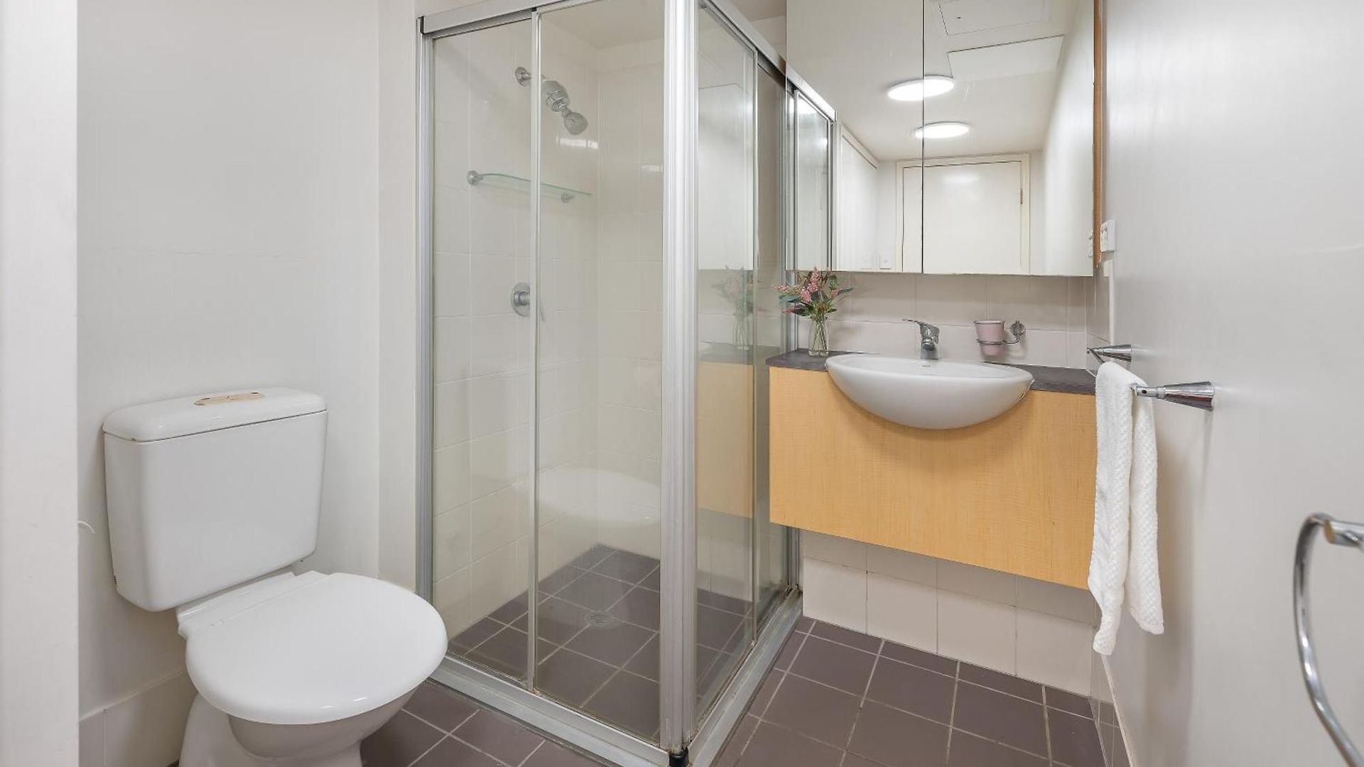 Huge Courtyard With Free Parking - Walk To Hsw, St And Valley Mall