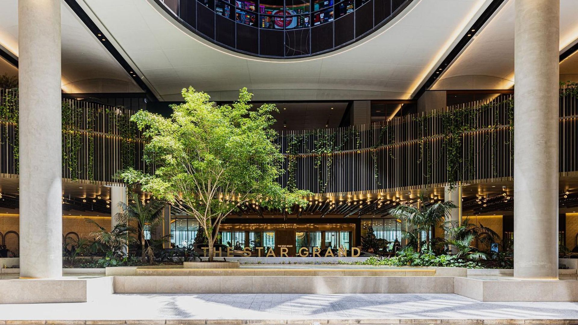 3 Bedroom Luxury In The Sky Apartment