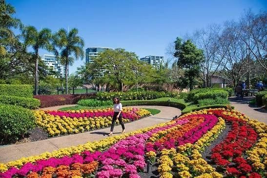 Apartment Cozy 2br In Brisbane