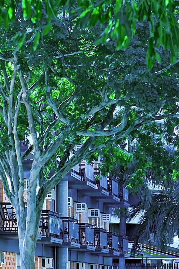 Soho 4* Brisbane