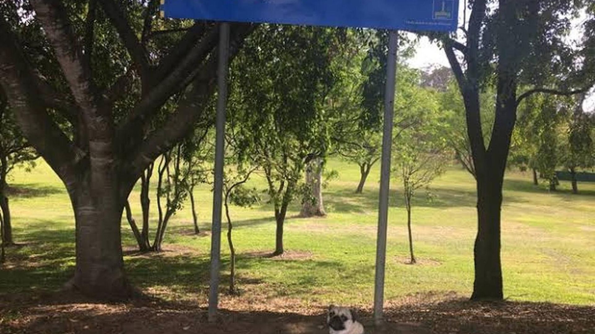 Opposite Sedgley Park Apartment Brisbane