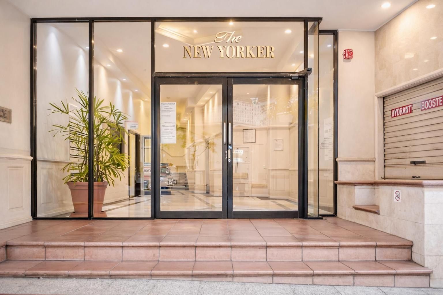 New Yorker *