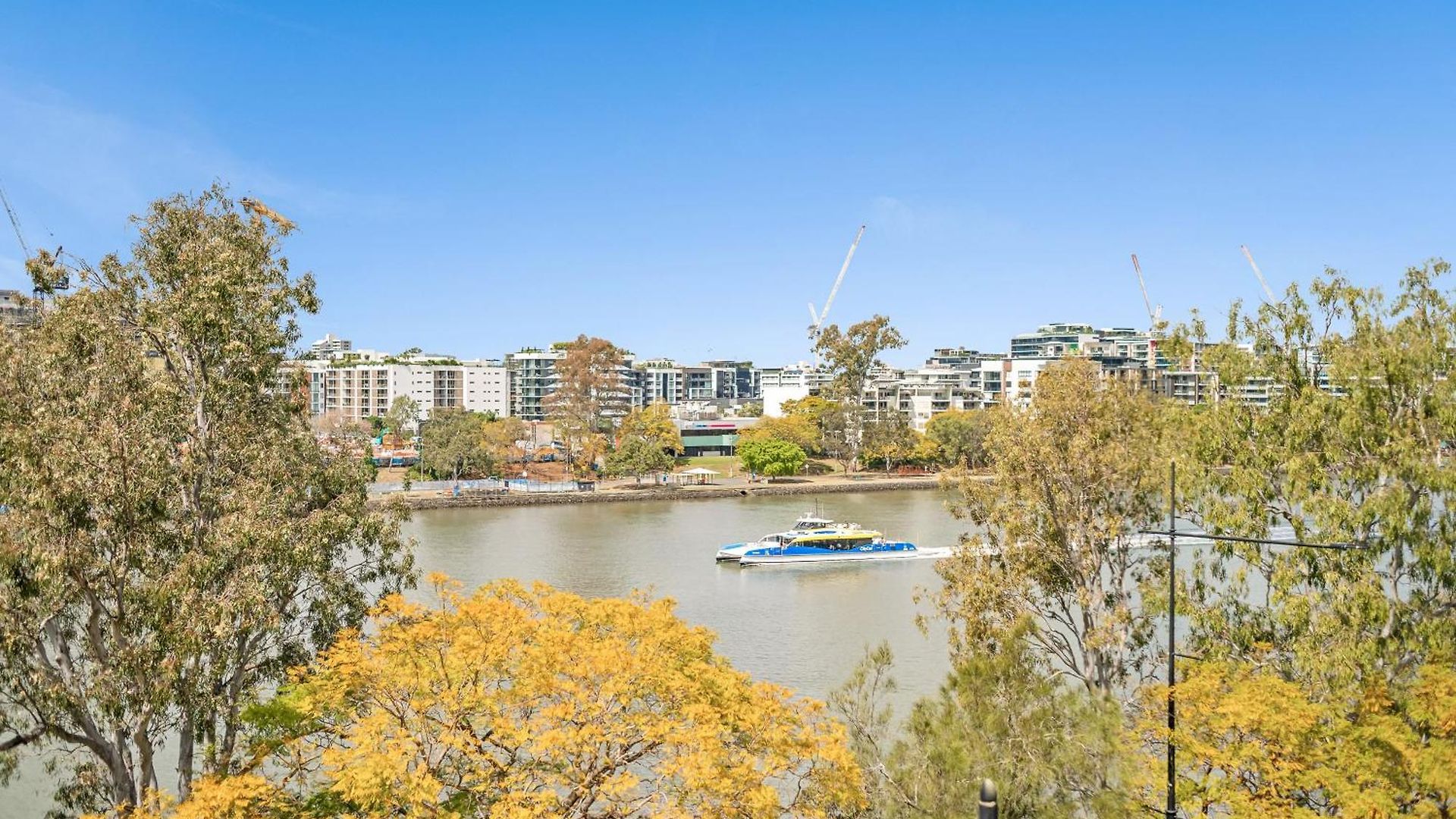 Chasely Brisbane