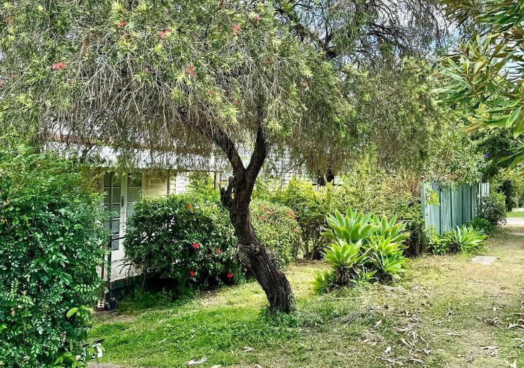 Budget-friendly Chermside Near Westfield