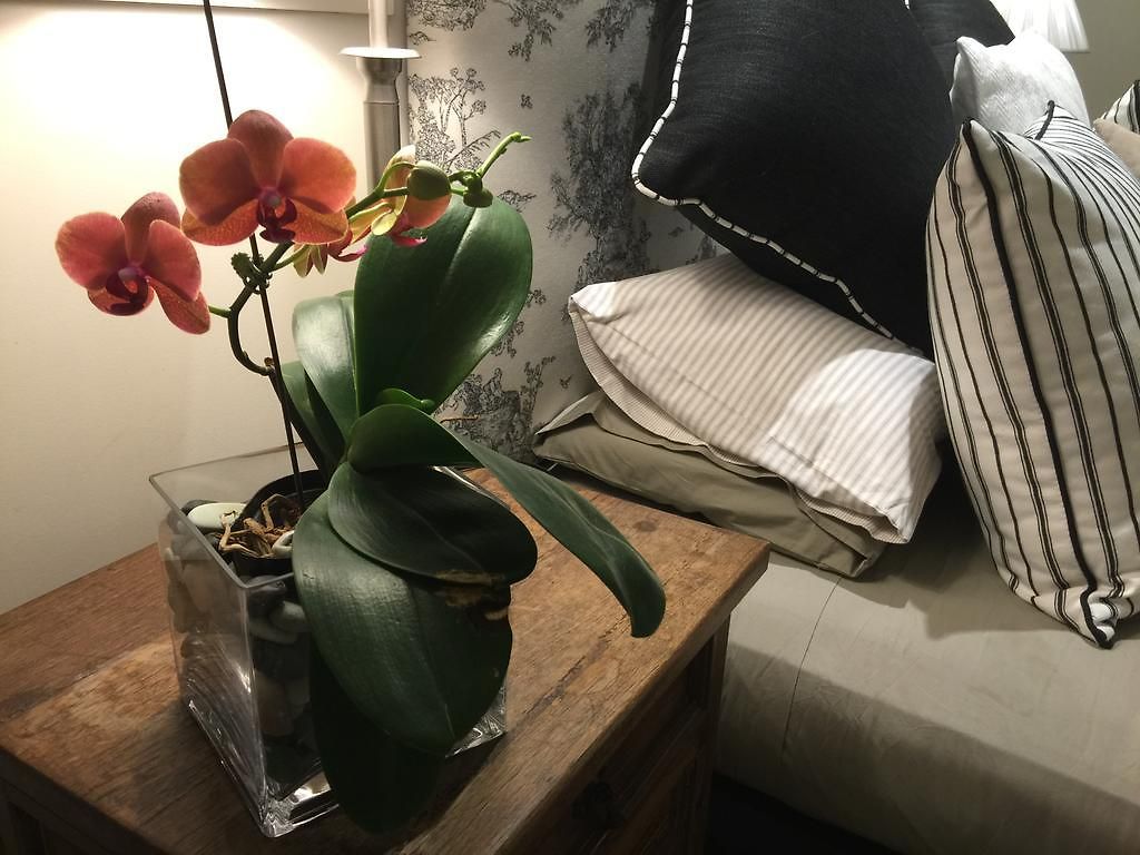 Scobie's Boutique Bed & Breakfast Brisbane