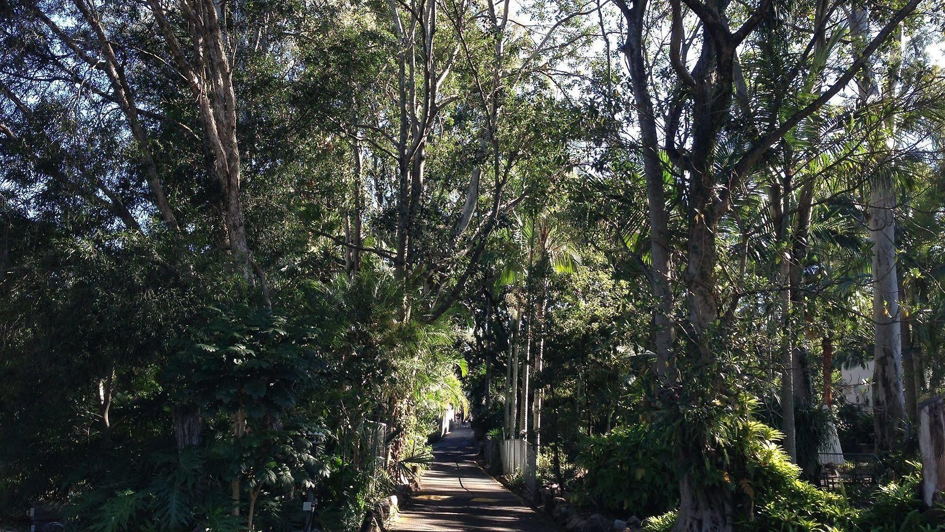 Hotel Forest