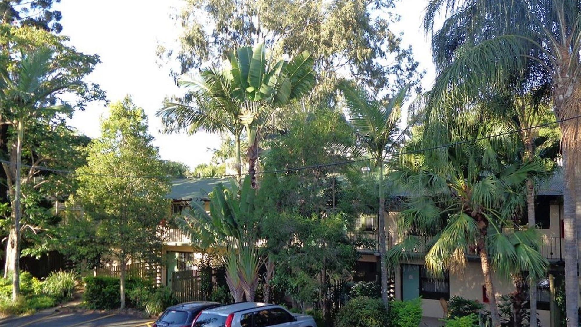 Hotel Forest 3*