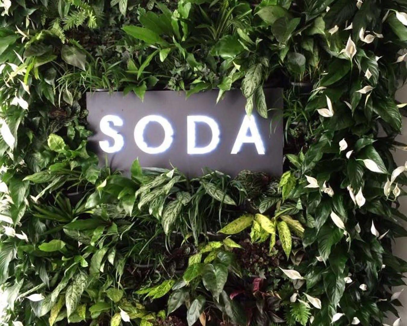Soda Apartments By Cllix