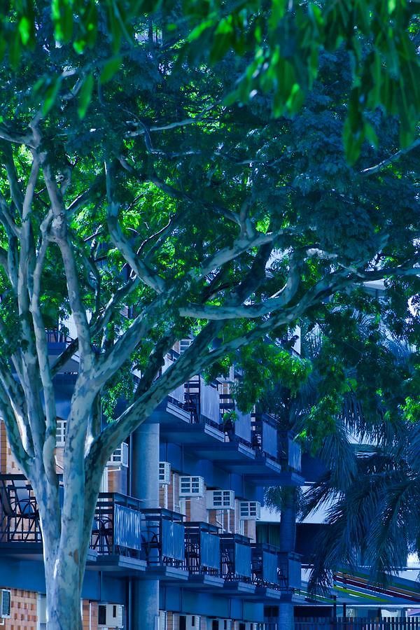 Soho 4* Brisbane