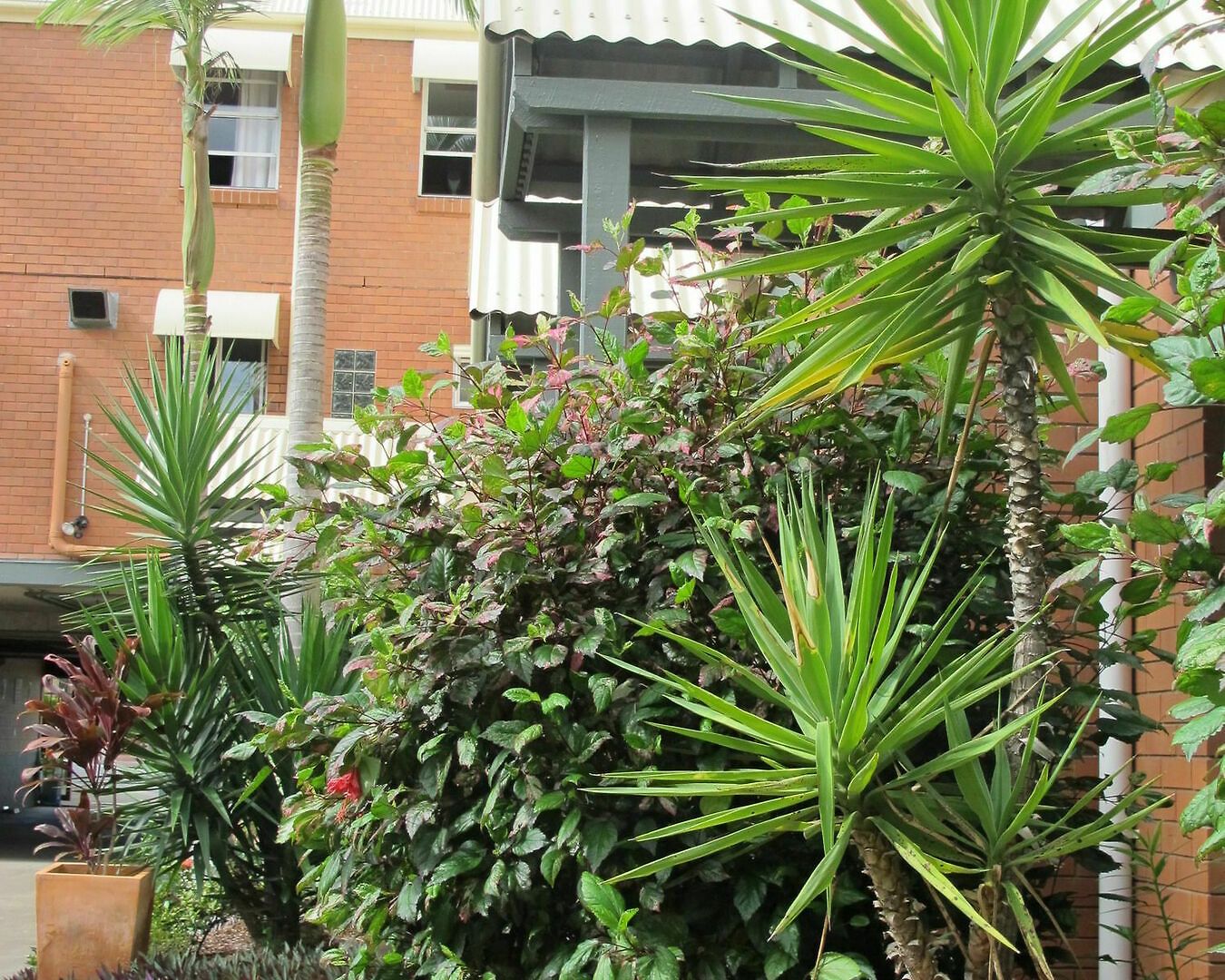 Spring Hill 3* Brisbane