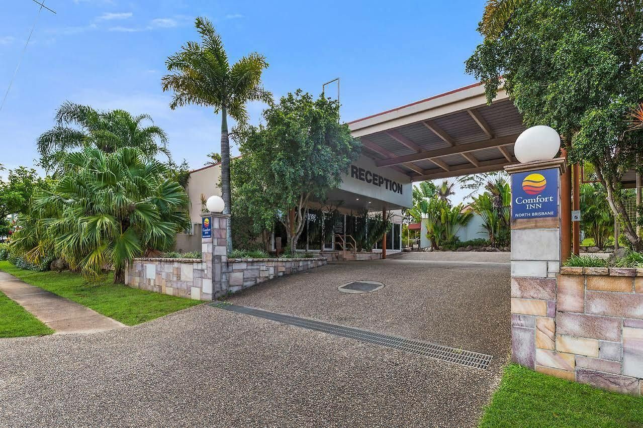 Carseldine Palms