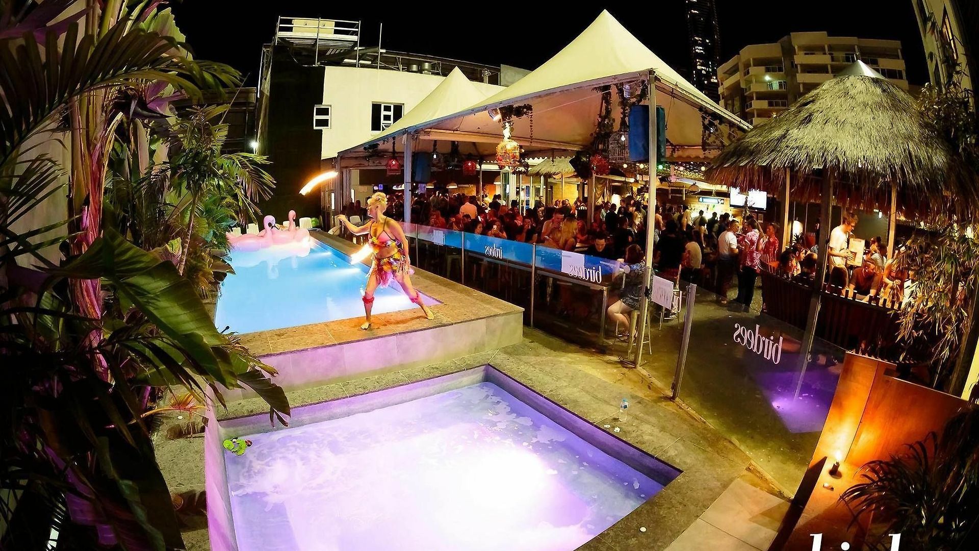 Bunk * Brisbane