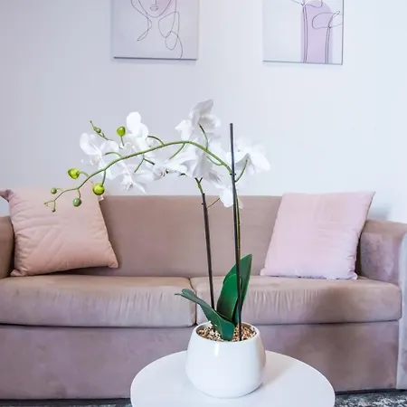 Airtrip At Woolloongabba Apartment Brisbane