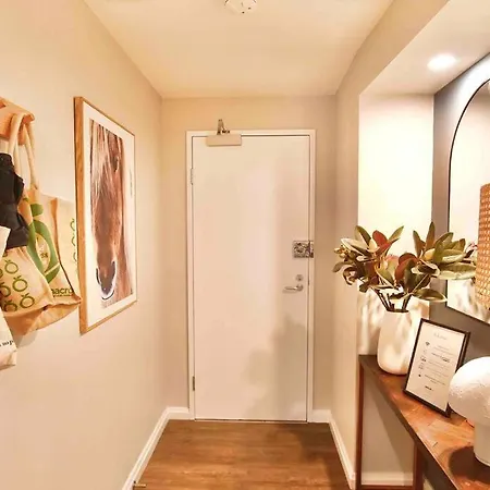 Pet Friendly St Johns 3 Bed 2 Bath 2 Carpark Cbd Apartment