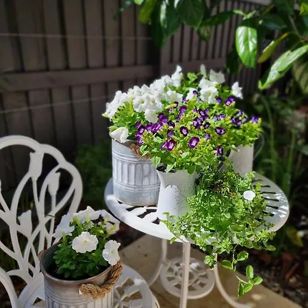 Bed & Breakfast Edward New Fam Brisbane