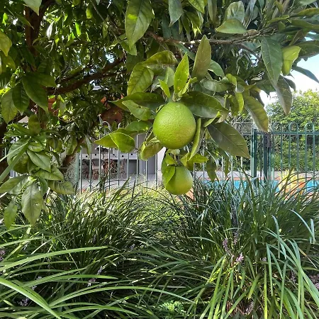 Designer's With Pool Brisbane